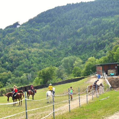 Monsereno Horses - Bobbio