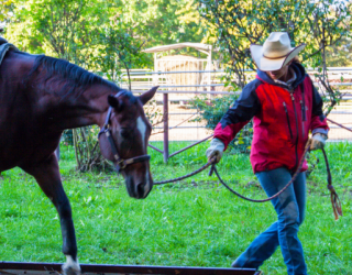 Clinic di Mountain Trail con Eleonora Malerba – 26 Febbraio 2023